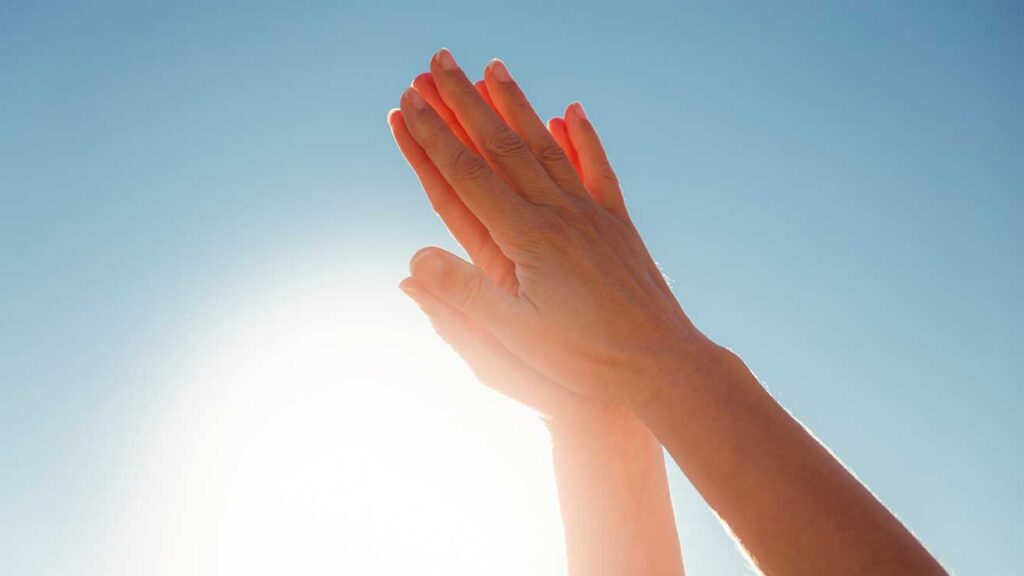 Leading Reflective Lives